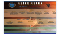 Organigramm der Omega-Flotte